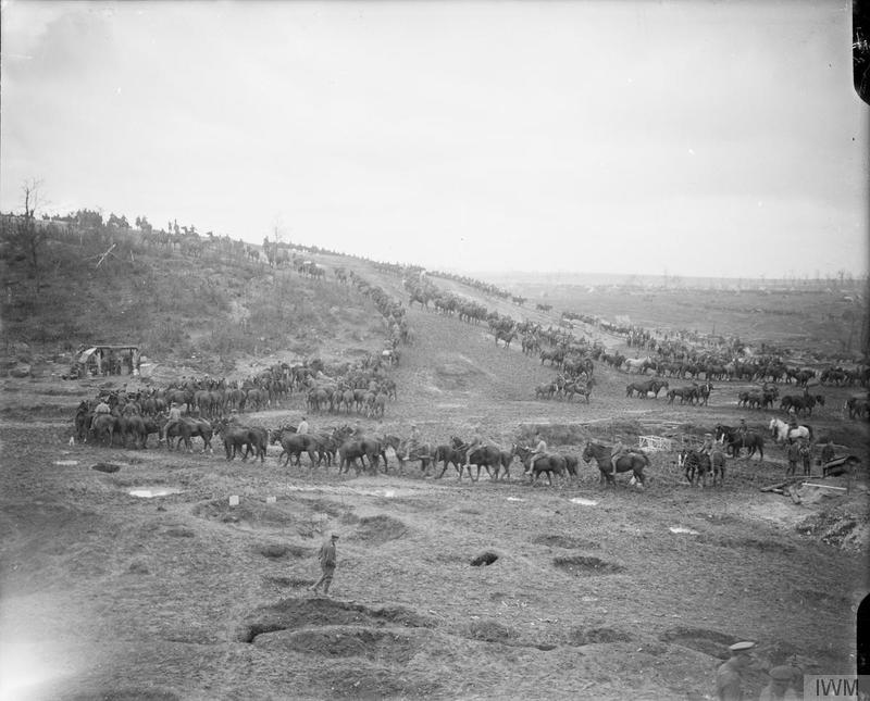 A primeira guerra contou com o uso massivo de animais - Cavalos indo para o ponto de água em Somme