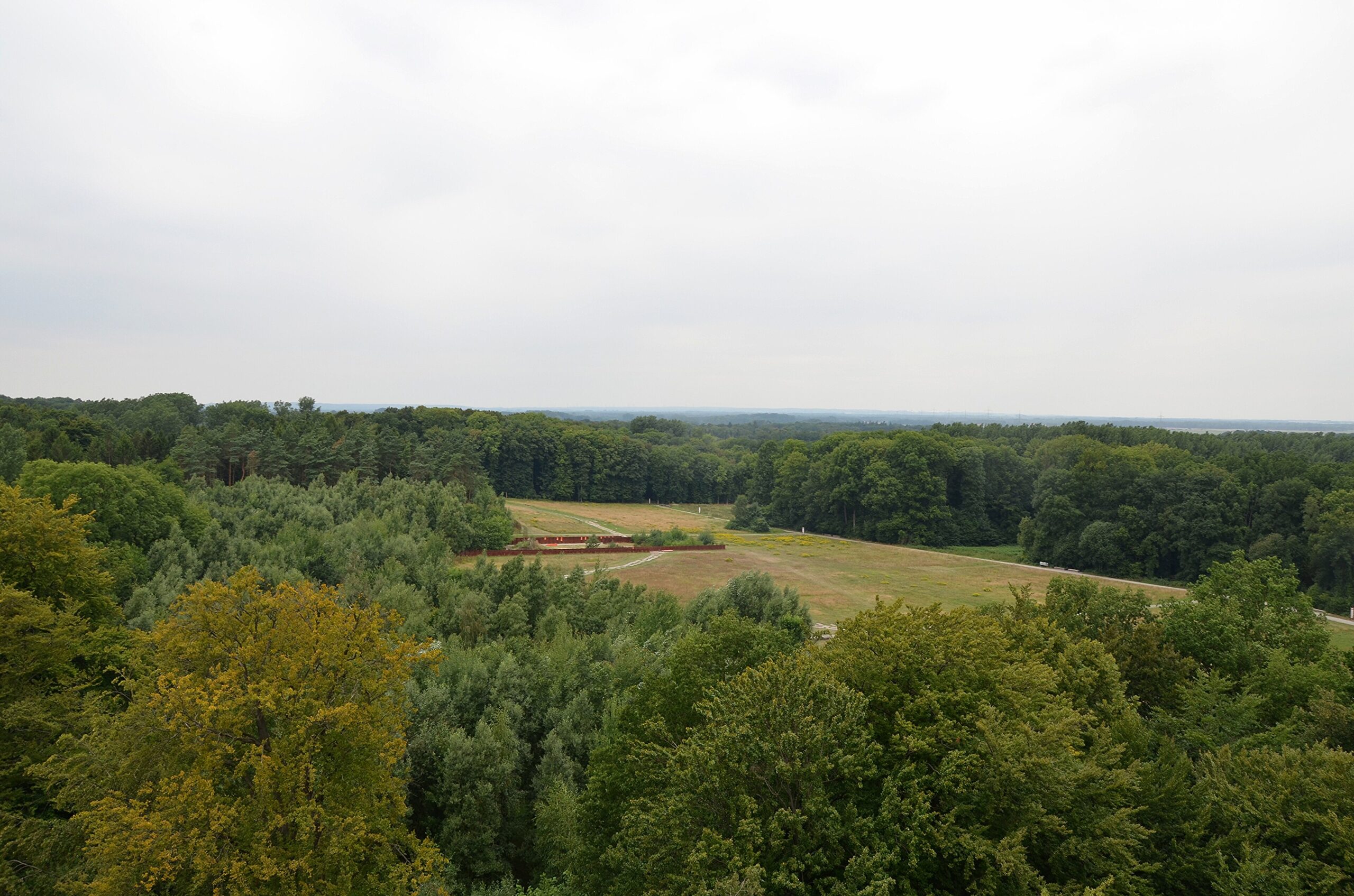 Vista da Floresta de Teutoburgo, local da batalha